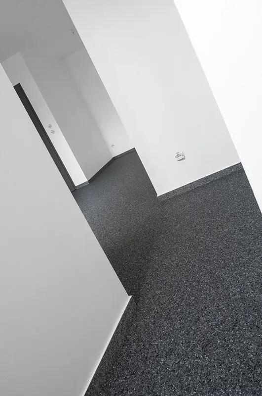Moquette de pierre appartement 1