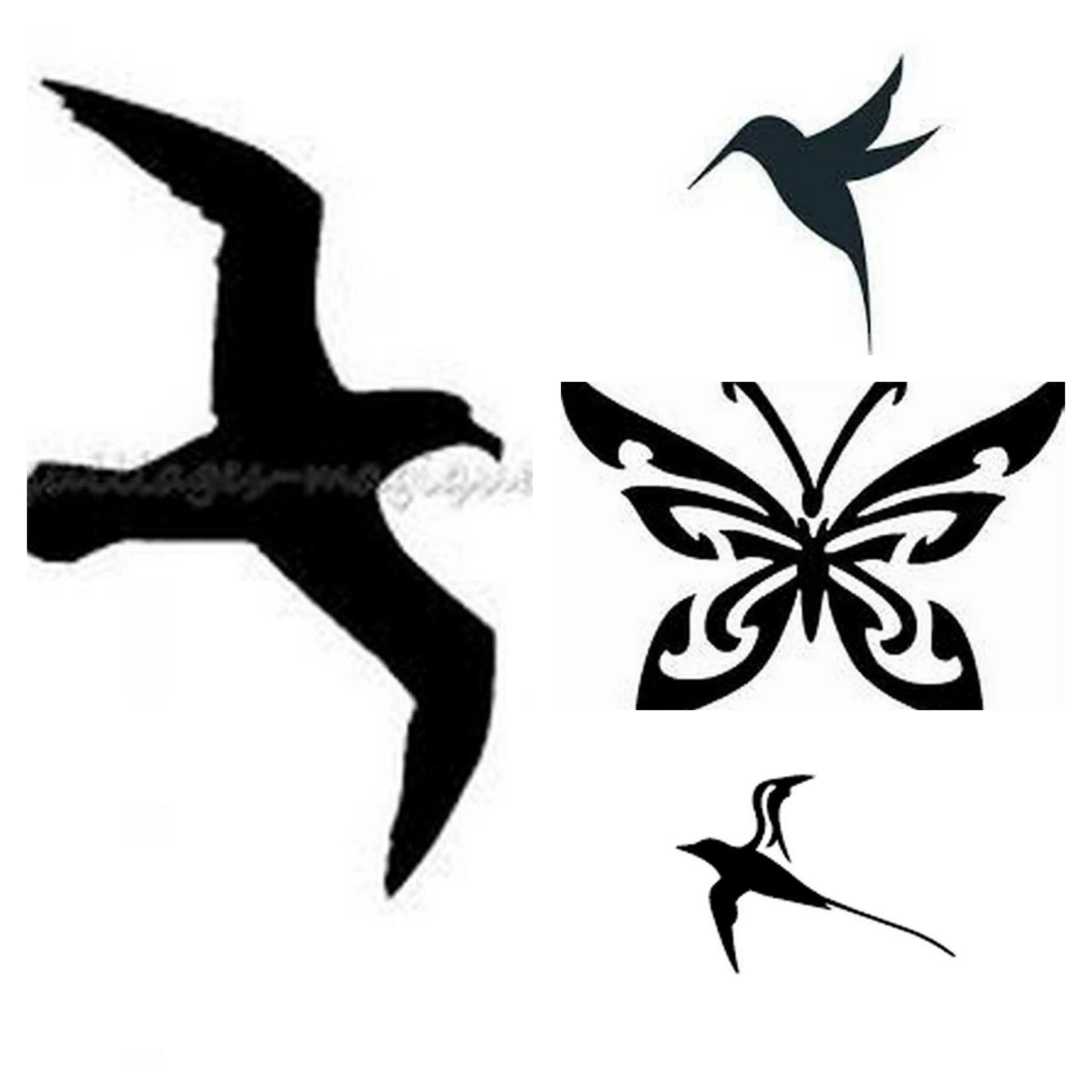 les oiseaux et papillons