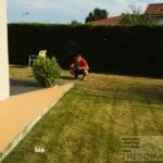 chantier blé